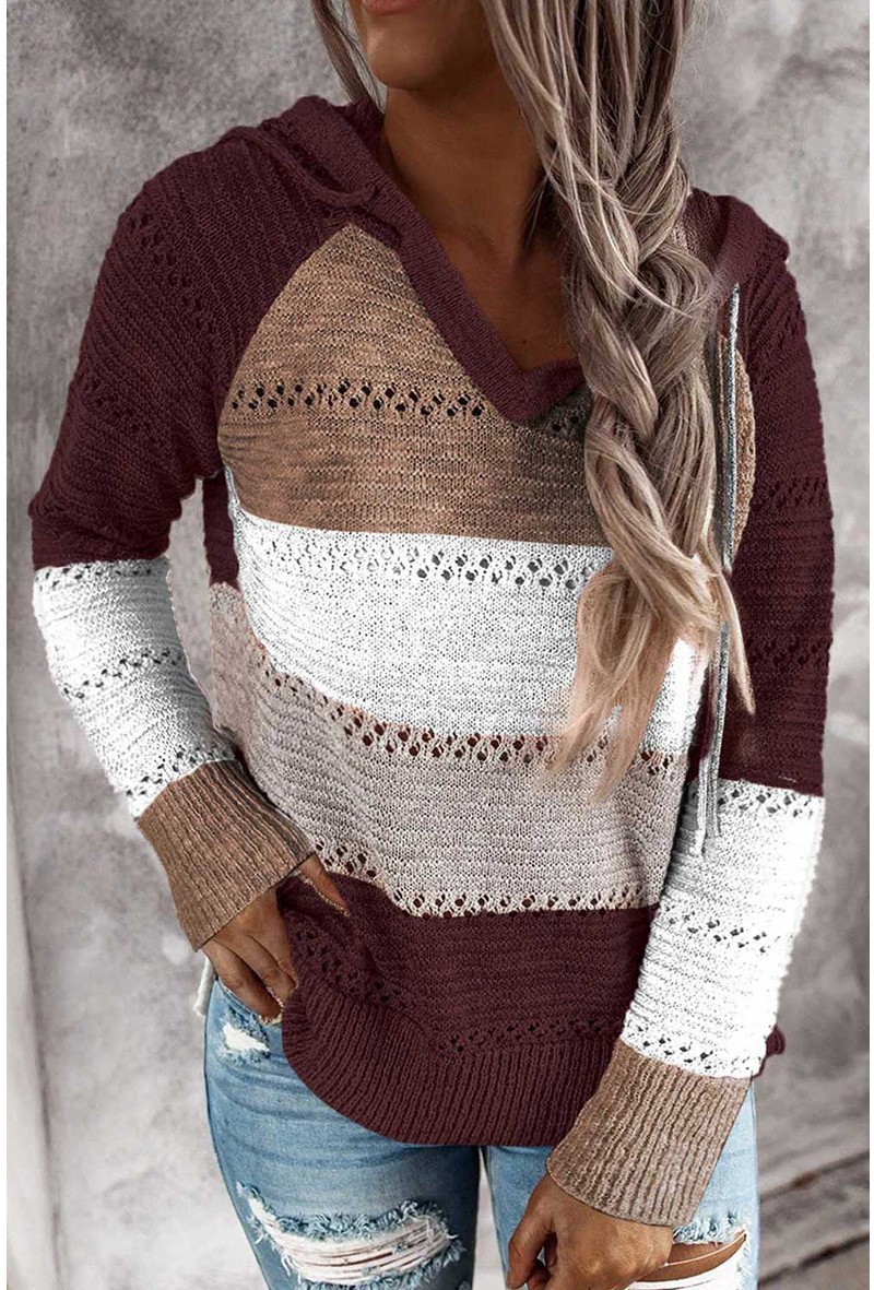 2020 cross-border foreign trade original order wish Amazon ebay autumn and winter new zipper hooded long-sleeved sweater - Image 2