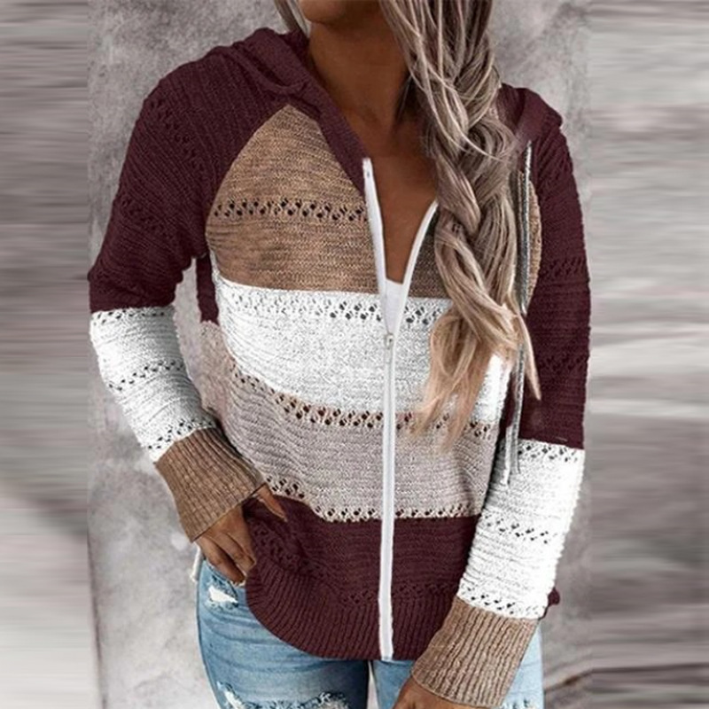 2020 cross-border foreign trade original order wish Amazon ebay autumn and winter new zipper hooded long-sleeved sweater - Image 18