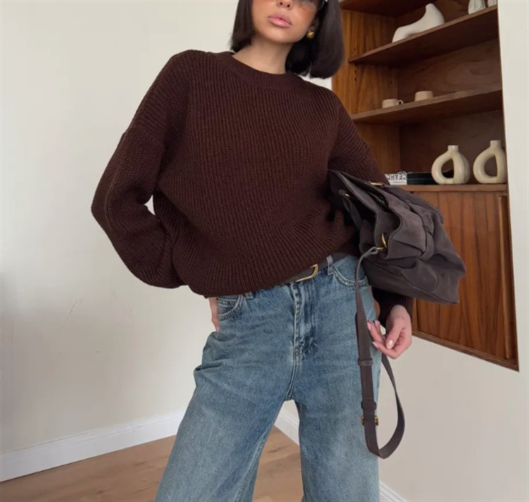 European and American style solid color round neck thick sweater for women, 2025 autumn and winter new arrival, loose long sleeve lazy style pullover knit sweater for women. - Image 8